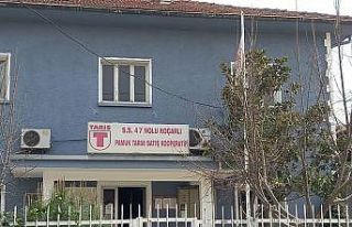 Koçarlı’da çiftçi TARİŞ kabusu yaşıyor