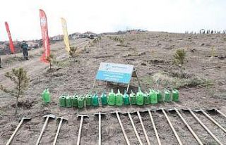 Kocasinan Belediyesi, yeşil hamle ile geleceğe nefes...