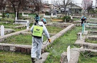 Kocasinan’daki mezarlıklarda hummalı çalışma