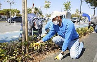 Konyaaltı Sahili’nde sezona hazırlık çalışmaları...