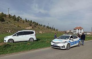 Köpeğe çarpmamak için manevra yapan araç tarım...