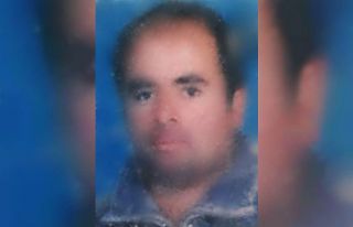 Köpek sesi üzerine çalılıklar arasında ağaca...