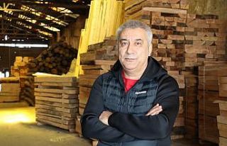 Korona salgını dünyada ahşaba olan talebi arttırdı,...