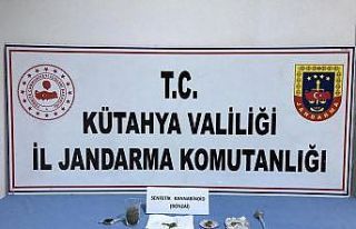 Köy evinde uyuşturucu ele geçirildi