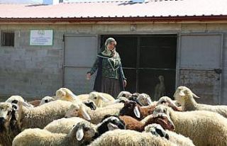 Köyde yaşamak isteyenlere proje desteği