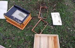 Köye inen ayılar kovanlara saldırdı