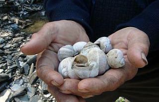 Köylüler derenin sırrını yıllardır çözemedi