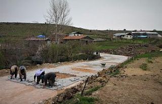 Köyün gelini, her soruna el attı, virüsü de köye...