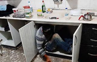 Kumar baskınında mutfak dolabının içinden çıktı