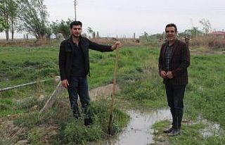 Kuraklığın baş gösterdiği Iğdır’da araziler...