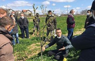 Kursiyerlere uygulamalı budama eğitimi