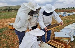 "Kurslarımızla Köylerdeyiz" projesiyle...