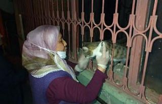 Kurtarılan kedisini öperek sevdi