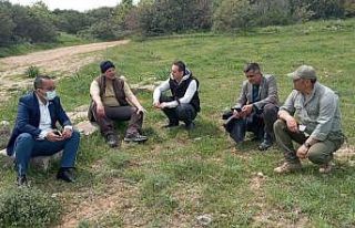 Kurtuluş Savaşı’nın Son Mehmetlerinin izi bulundu