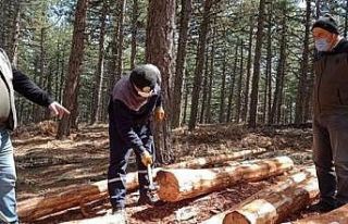 Kütahya Orman Bölge Müdürlüğünde ’barkod’...