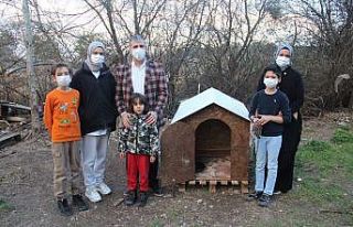 Kütahya’da kangal köpeği hırsızlığı