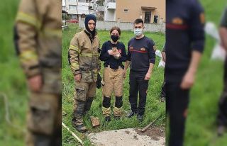 Kuyuya düşen kediyi itfaiye kurtardı