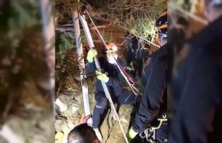 Kuyuya düşen koyun AFAD ve itfaiye ekipleri tarafından...