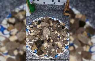 Kuzugöbeğinin fiyatı, et fiyatlarını katladı