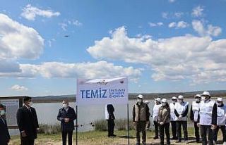 Longoz ormanları temizleniyor