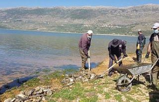 Lübnan’da tonlarca sazan balığı telef oldu