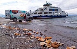 Malatya’da sokak hayvanları unutulmuyor