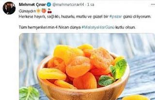 Malatyalılar günü kutlamaları sanalda
