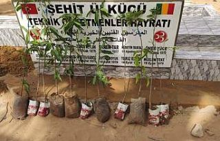 Mali’de şehitler adına su kuyusu açıldı