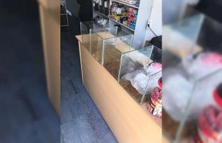 Maliye ekipleri denetimde bandrolsüz tütün yakaladı