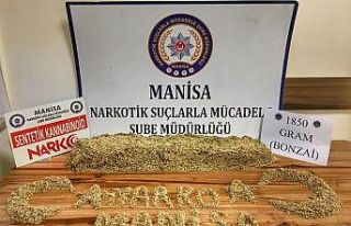 Manisa’da 1 kilo 850 gram bonzai maddesi ele geçirildi