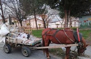 Manisa’da at arabaları trafikten men edildi