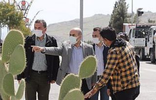 Mardin Valisi Demirtaş kent genelindeki çalışmaları...