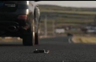 Mardin’de ’4 Nisan Sokak Hayvanlarını Koruma...