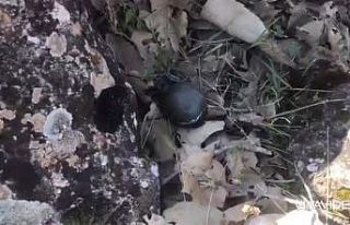 Mardin’de teröristlere ait el bombası ele geçirildi