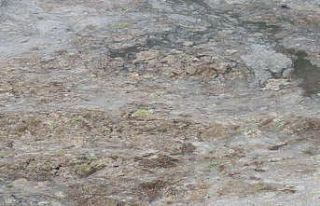 Marmara Denizi beyaza büründü