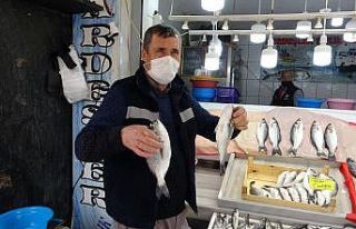 Marmaralı balıkçılar sezondan memnun değil