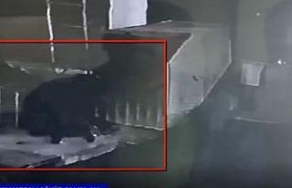 Mazgal hırsızları polisten kaçamadı