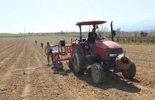 Mazot ve gübre desteği ödemelerine başlandı