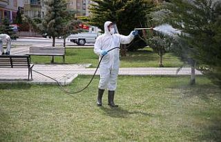 Melikgazi’de larva döneminde haşeratla mücadele...