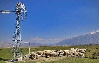 Meraya inşa edilen rüzgargülleriyle yer altı suları...