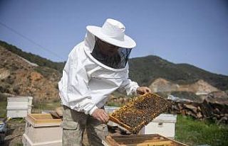 Mersin’de 708 arı yetiştiricisine belediyeden...