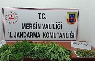 Mersin’de uyuşturucu operasyonu: 7 gözaltı