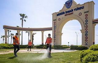 Mersin’de zararlılara karşı ilaçlama çalışması