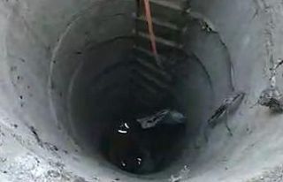 Metrelerce derinlikteki su kuyusuna düşen yavru...