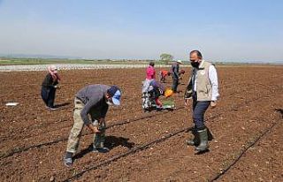 Mevsimlik tarım işçileri Bursa’ya geldi