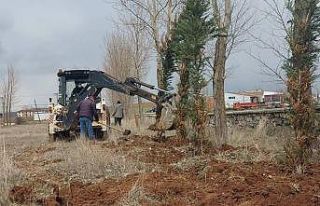 Mezarlıkta ağaçlandırma ve bakım çalışmaları