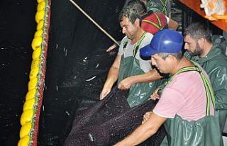 Milas İlçe Tarım Müdürü Parlu; "Su ürünleri...