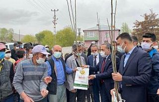 Milletvekili Arvas: “Van’da ağaçlandırma ivme...