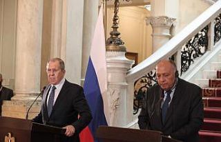 Mısır Dışişleri Bakanı Shoukry: “Hedasi Barajı’nın...