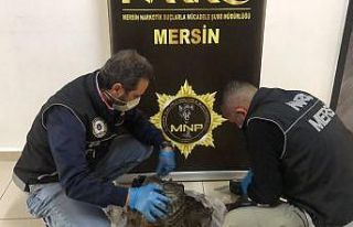 Motor şanzımanına uyuşturucu yerleştirip, kendilerine...